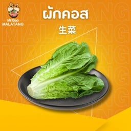 ผักคอส 生菜
