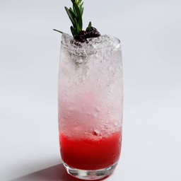 Mixed Berries Rosemary Italian Soda