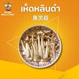 เห็ดหลินดำ 黑灵菇