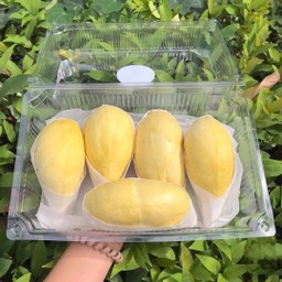 ทุเรียนหมอนทองแกะเนื้อ เกรดพรีเมี่ยม - กรอบนอกนุ่มใน 500 กรัม