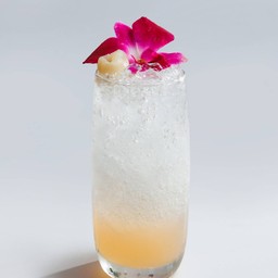 Lychee Italian Soda