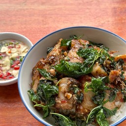 ข้าวหน้ากะเพราหมูกรอบ