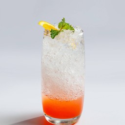 Blood Orange and Mint Italian Soda