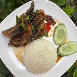 กะเพราปลาดุกราดข้าว