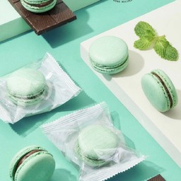 MINT CHOC-CHIP MACARON