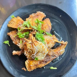 ลาภเก๊าสนน์ ลาภเก๊าสนน์