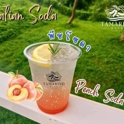 พีชโซดา