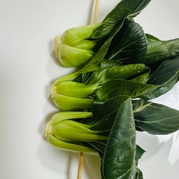 เบบี้กวางตุ้ง