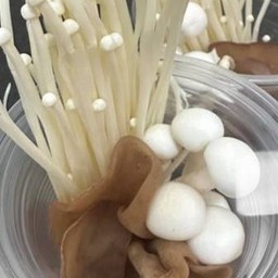 เห็ดรวม