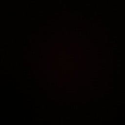 ผัดผักใบเหลียงกุ้งสด