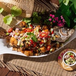 ปลากะพงลุยสวน