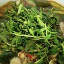ต้มปลาดุกผักแขยง (ใบอีออม)