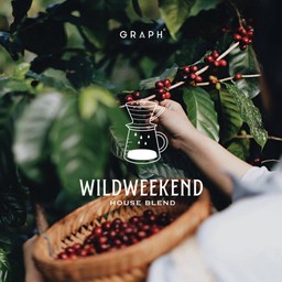 FILTER HOUSE BLEND - WILDWEEKEND