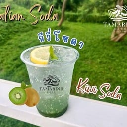 กีวี่โซดา