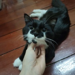 ขออเมริกาโน่ 2 แก้วจ้า ( ไม่หวาน ไม่เผ็ด ไม่ใส่มะนาว )