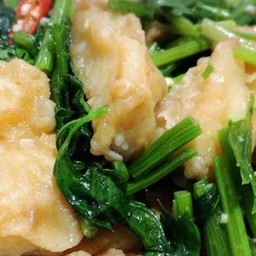 คะน้าปลาดอลลี่