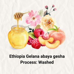 Ethiopia Gelana abaya gesha