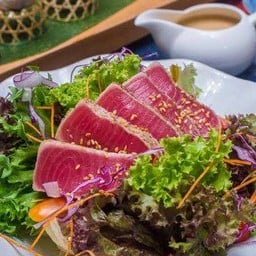 YS04 Tuna tataki salad สลัดทูน่าทาทากิ
