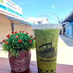 ชาเขียว