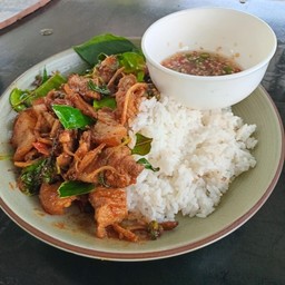 ผัดเผ็ดหมูป่าราดข้าว + ไข่ดาว