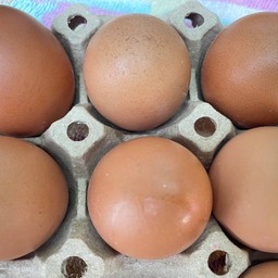 เพิ่มไข่1ฟอง