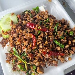 จารย์ยอร์ชกะเพราซอยตัน - สวนมะพร้าว