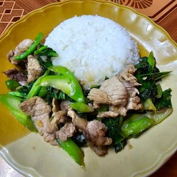 ข้าวคะน้าหมูชิ้น
