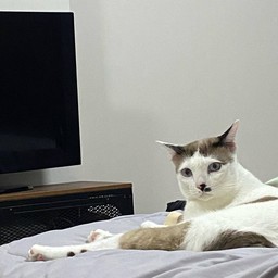 เด็กหญิงเป๋าตังค์พี่ใหญ่สุดโหดแต่ตามใจหนมปังที่สุด