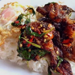 กระเพราปลาดุกกรอบ+ไข่