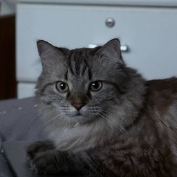 เด็กชายปูนปั้นผู้อ่อนโยน