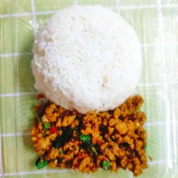 ผัดกะเพราหมู,ไก่ราดข้าว