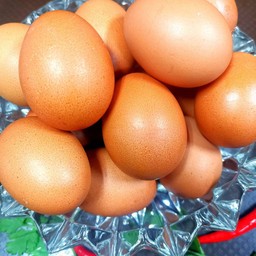 MENU_2927594XP_1747811191