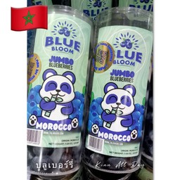 บลูเบอร์รี่ จัมโบ้ morocco หลอดใหญ่