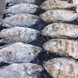 ปลานิลเผา M (1 ตัว)