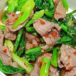 หมูชิ้นผัดคะน้าน้ำมันหอย ราดข้าว