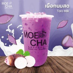 เผือกนมสด