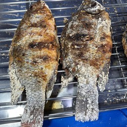 ปลานิลเผา M (2 ตัว)