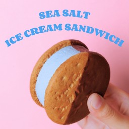 Sea Salt Ice Cream Sandwich(6g Protein)
