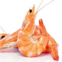 Prawn