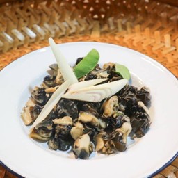 หอยเชอร์รี่