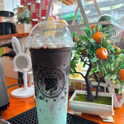 โกโก้มิ้นท์