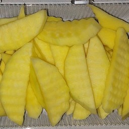 มะม่วงเปรี้ยว