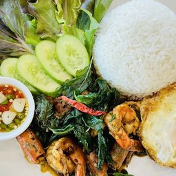 ข้าวกะเพรากุ้ง แก้วมาคอว์