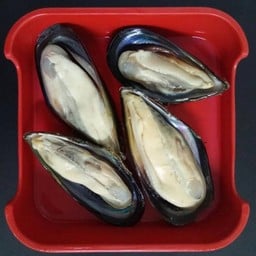 E01 หอยแมลงภู่