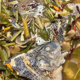 ต้มยำปลานิล