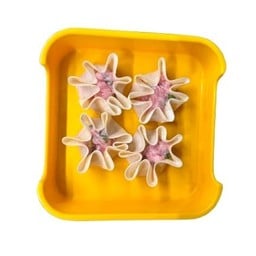 เกี๊ยวหมูเด้ง