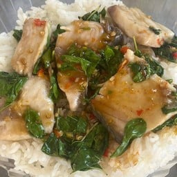 กะเพราปลาอินทรี