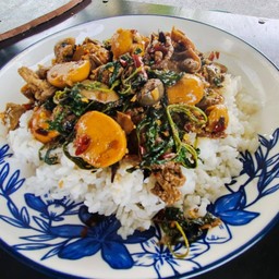 กระเพรารังไข่ราดข้าว