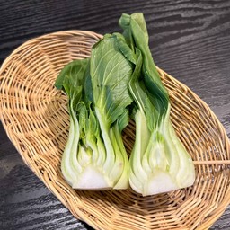 กวางตุ้ง