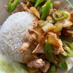 หมูผัดพริกสดราดข้าว